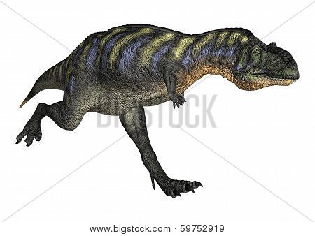 Dinosaur Aucasaurus