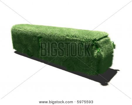 Bus mit Gras