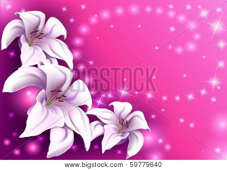 beautiful pink background with white lilies