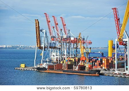 Bulk cargo ship under port crane
