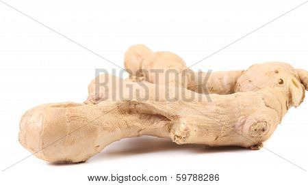 Close up of freshh ginger root.