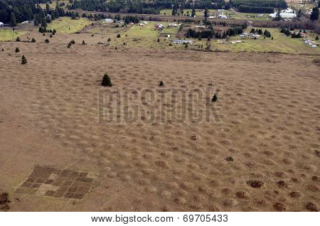 Mima Mounds