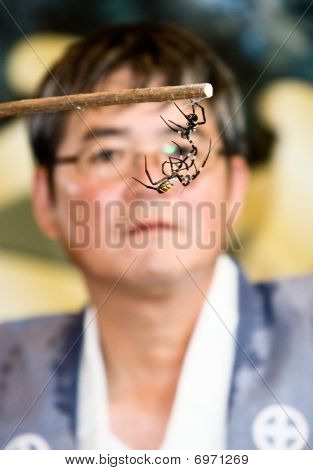 심판 보고 두 거미 싸움