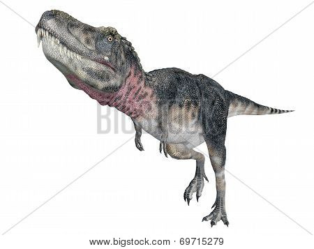 Dinosaur Tarbosaurus