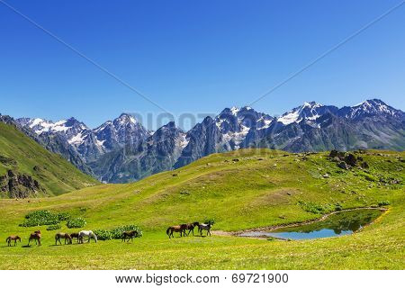 Koruldi mountain lake, Georgia, Svaneti
