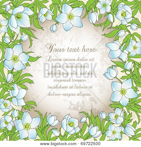 Greeting Card With Anemones