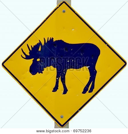 moose crossing road sign