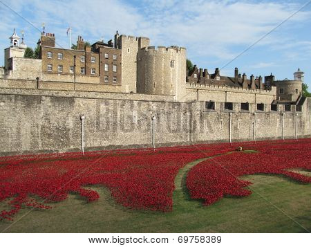LONDON- AUGUST 7: 888,246 ceramic poppies, by artist Paul Cummins, where laid around the tower of london, to mark the 100th anniversary of britain entering the 1st world war. LONDON, AUGUST 7, 2014