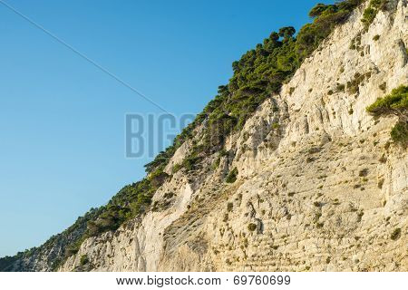 Vegetation On Coast