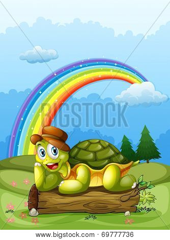 Illustration of a happy turtle above the log and the rainbow in the sky