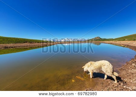 Koruldi mountain lake, Georgia, Svaneti