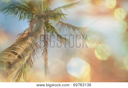 Serenity beach