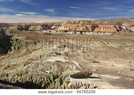 Landscape in Patagonia