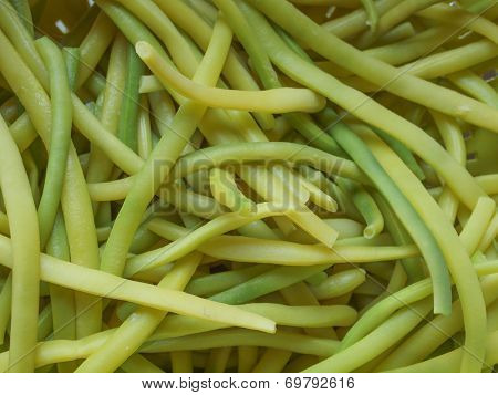 Green Bean