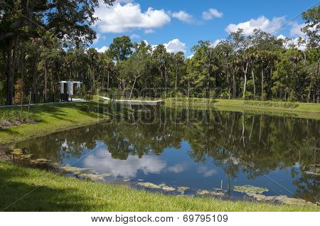 Pond