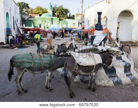 Harar, Ethiopia - December 24, 2013: Donkeys Wait To Be Loaded On Market Square Of Walled City Of Ju