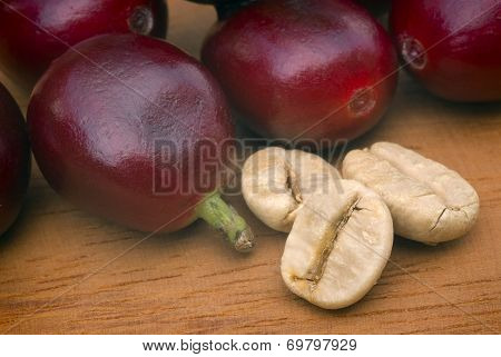 Green Coffe (coffea Arabica)