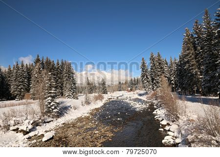 Vallecito Creek