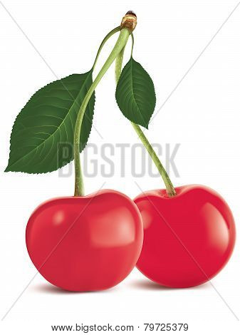 Cherry With Green Leaf Isolated. Vector Illustration