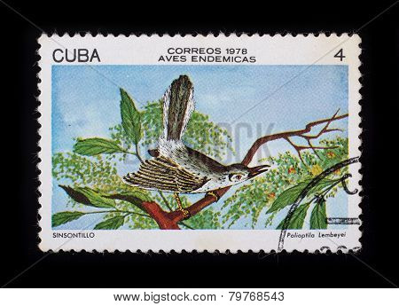 Post Stamp. Birds - Sinsontillo