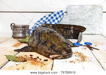 Fresh Burbot