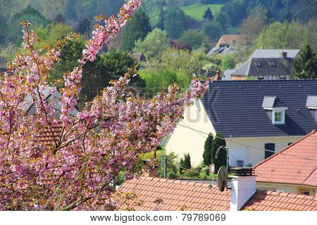 Normandy Village