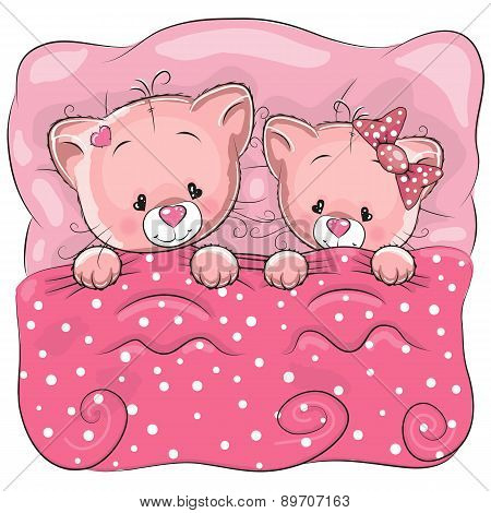 Two Cats