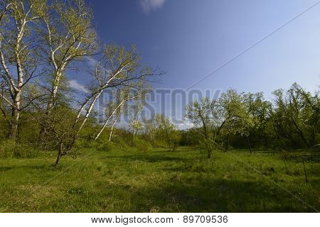 Novomoskovsk