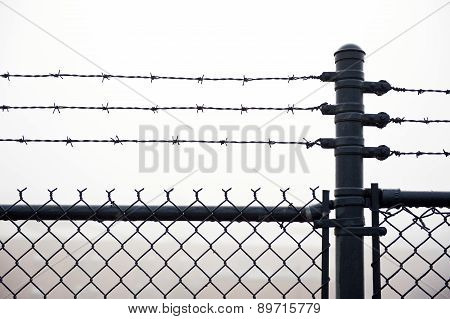 Wet Barbed Wire Fence In Dense Fog