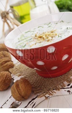 Tarator, Bulgarian Sour Milk Soup