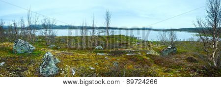Tornetrask Lake Summer View ( Lapland, Sweden)