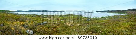 Tornetrask Lake Summer View ( Lapland, Sweden)