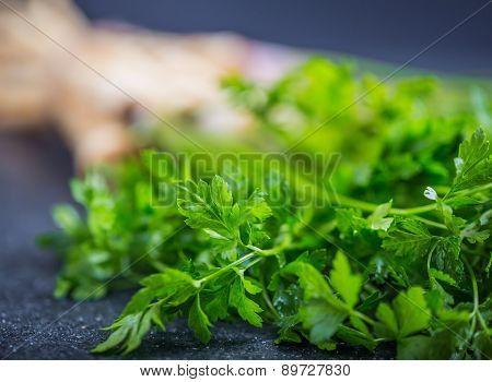 Fresh Parsley With Root On Table