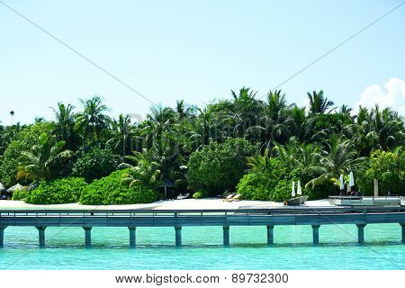 View of beautiful blue ocean water and trees in Baros Maldives