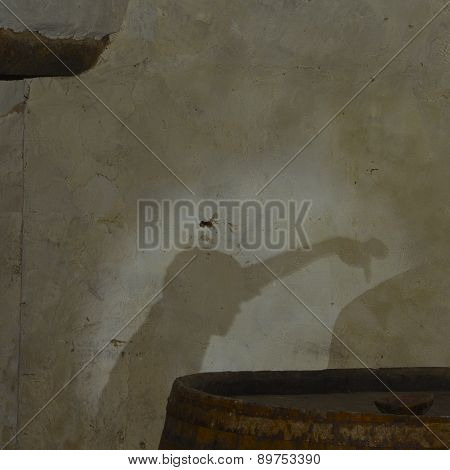 Child Shadow
