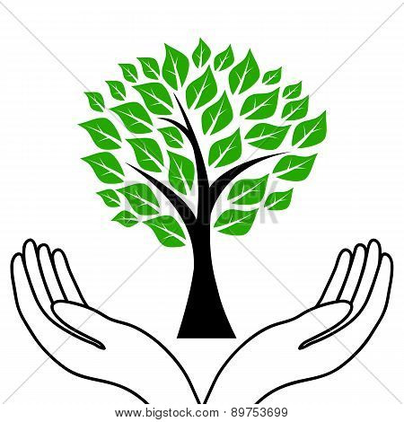 Tree In Hands