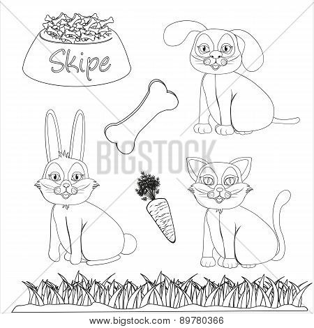 Set Of Drawings Of Domestic Pets And Accessories For Coloring