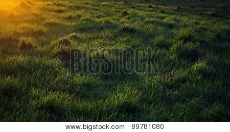 In the evening