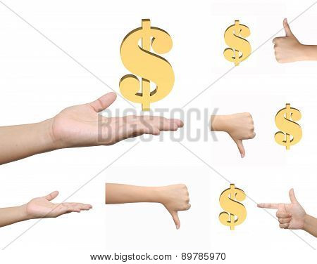 Hand On White Background