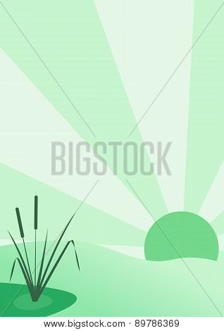 Reeds And Sun