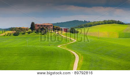 Colorful sprimg morning on countryside in Tuscany, Italy.