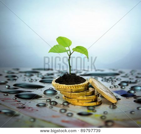 Financial Planning And Banking Related Series