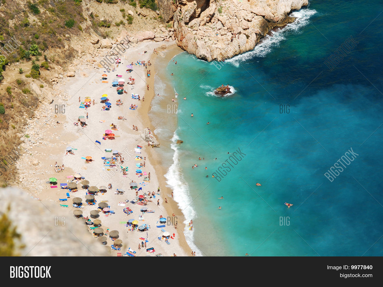 Image Preview