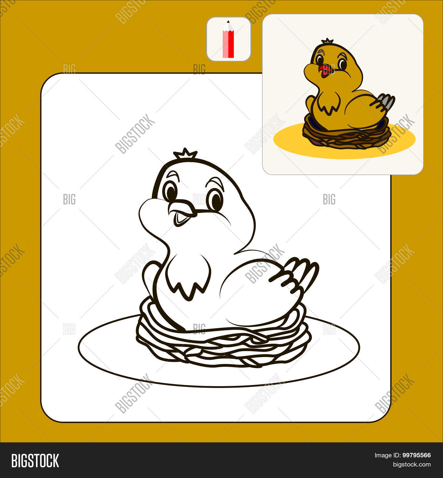 Image Preview