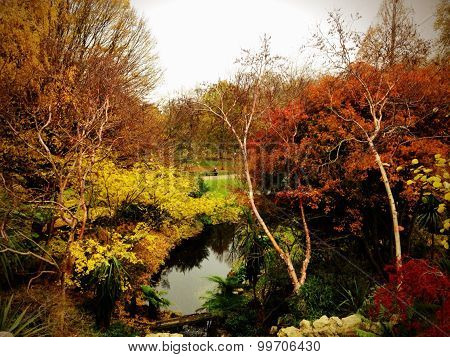 Autumn Landscape Background In Hyde Park London