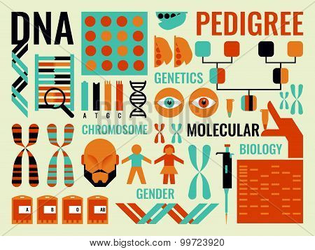 Molecular Biology