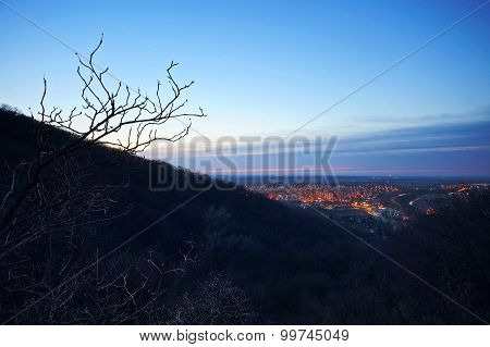 Evening landscape