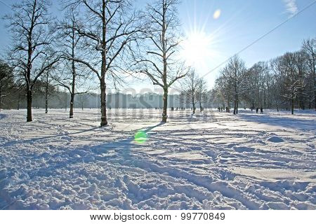 Munich