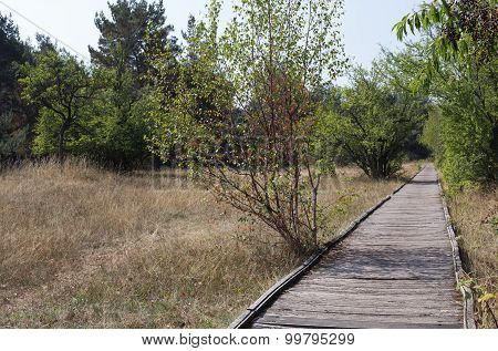 Planks way