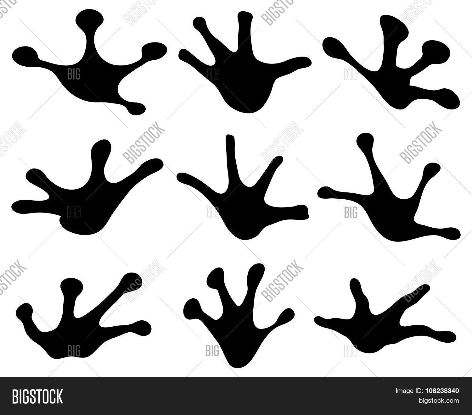 Footprints Frogs Image & Photo (Free Trial) Bigstock